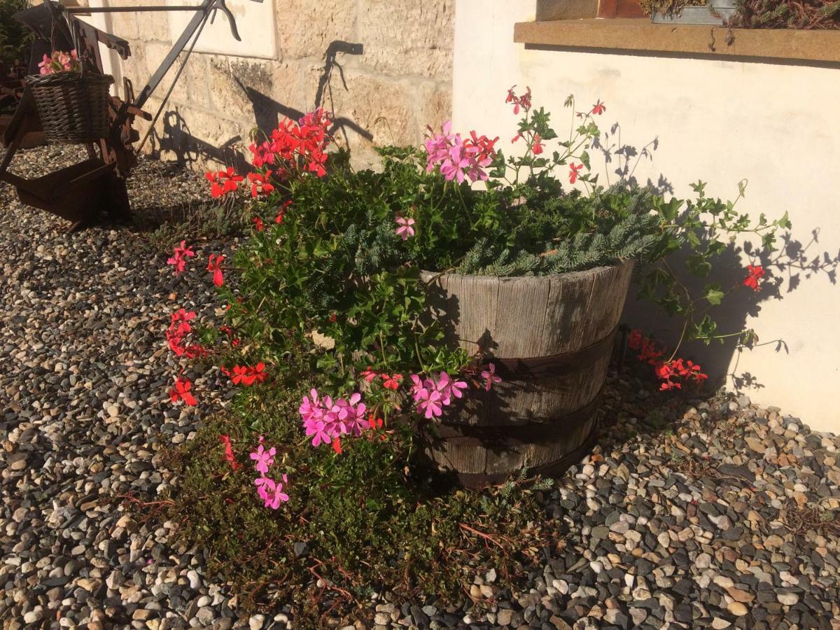 Holiday Home Usedlost Novy Svet Ruzova Dış mekan fotoğraf